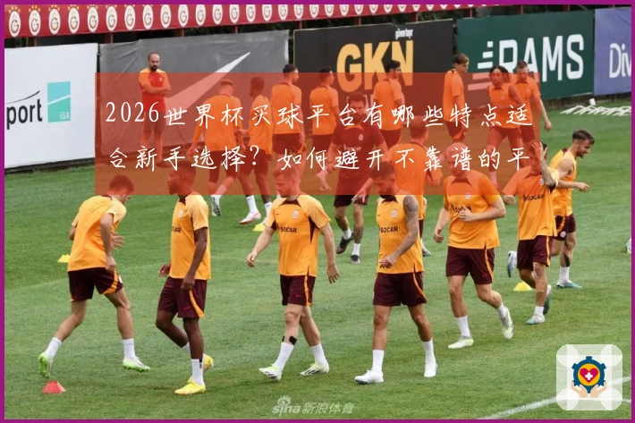 2026世界杯买球平台有哪些特点适合新手选择？如何避开不靠谱的平台安心投注